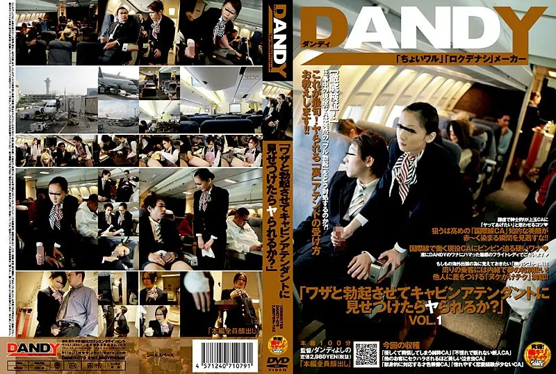 DANDY-079 "What Are Ya When Confronted By A Flight Attendant Let Erection And Skill?"