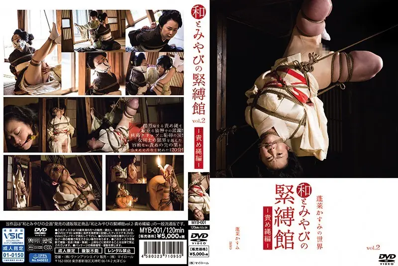 MYB-001 Balance Between Harmony And Miyabi Vol.2 Volley Broke Version